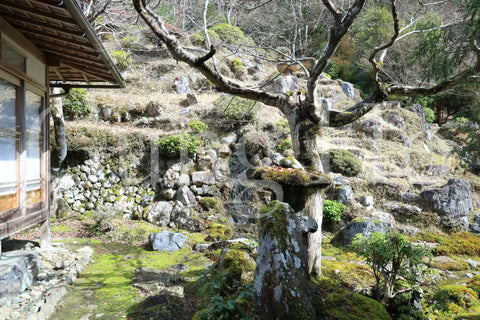 常照皇寺