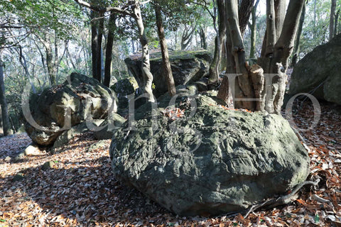 Roca Kibi Nakayama Yataiwa