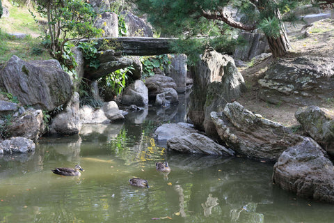 Antiguo Castillo de Tokushima Jardín Omote Goten