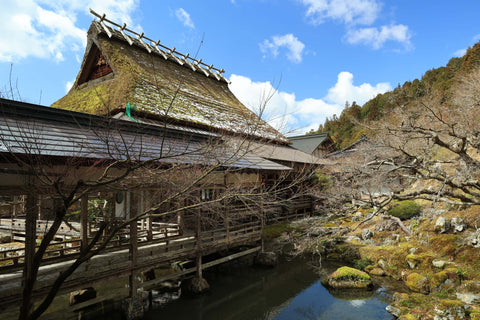 常照皇寺