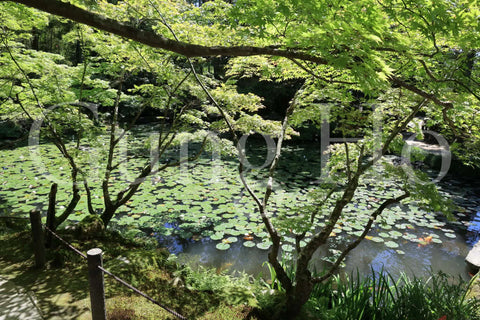 南禅寺天授庵