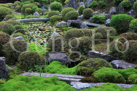 東福寺開山堂普門院前庭園