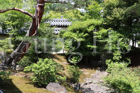 Jardín norte de Shokokuji Hojo