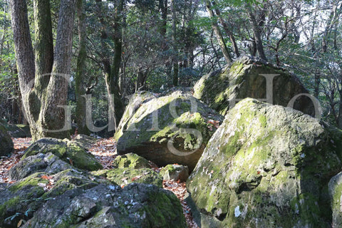 Roca Kibi Nakayama Yataiwa