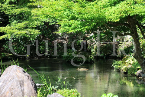 Jardín Nanzenji Hojo, Jardín Nyoshin, Jardín Rokudo