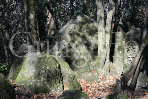 Roca Kibi Nakayama Yataiwa