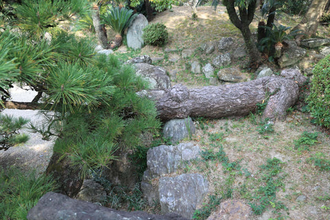 Antiguo Castillo de Tokushima Jardín Omote Goten