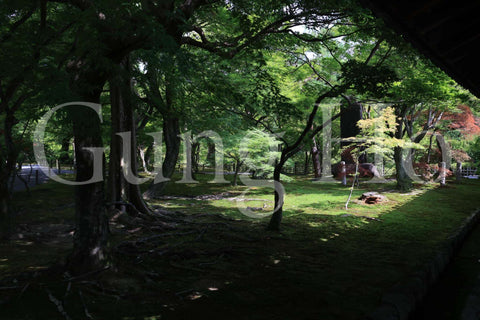 東福寺開山堂普門院前庭園