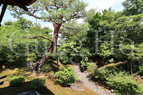 Jardín norte de Shokokuji Hojo