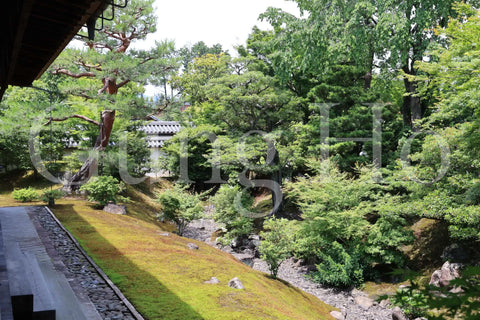 Jardín norte de Shokokuji Hojo