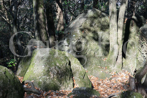 Roca Kibi Nakayama Yataiwa