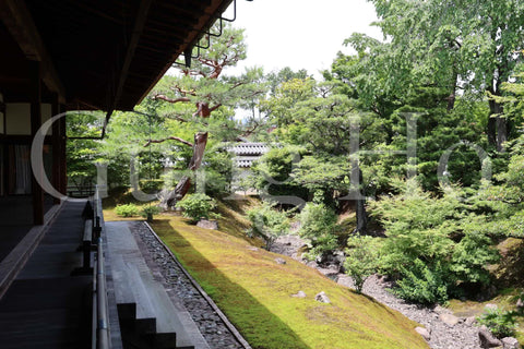 Jardín norte de Shokokuji Hojo