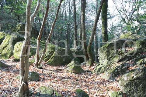 Roca Kibi Nakayama Yataiwa