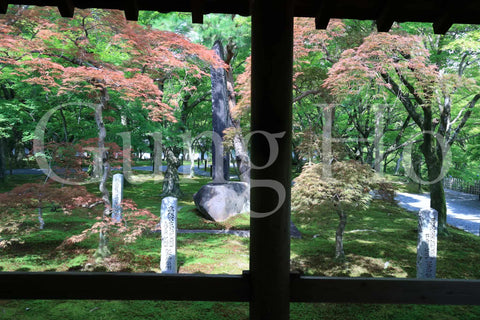 東福寺開山堂普門院前庭園