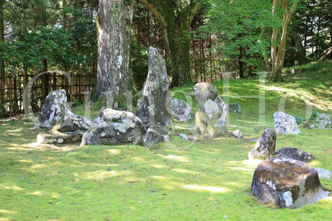 Jardín de la residencia de Kitabatake 1