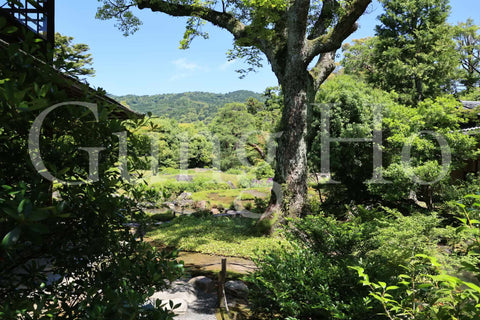 Murin-an