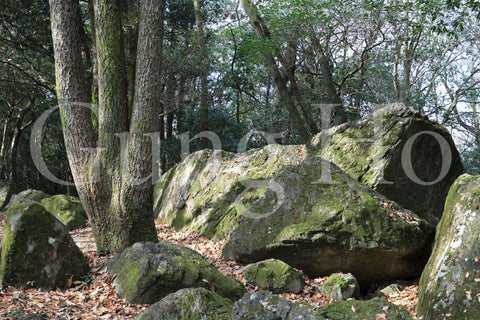 Roca Kibi Nakayama Yataiwa