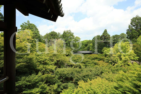 東福寺開山堂普門院前庭園
