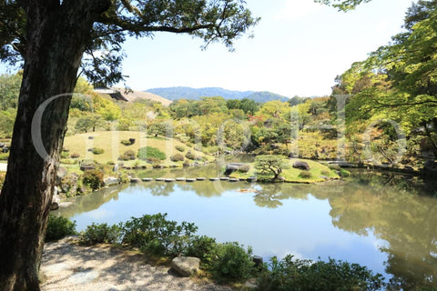 Isuien