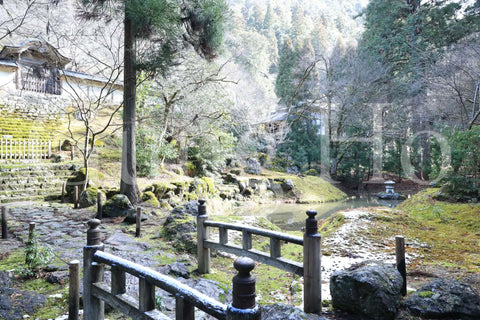 常照皇寺