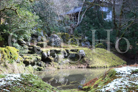 常照皇寺