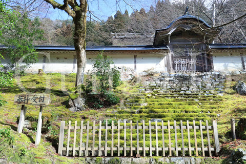 常照皇寺