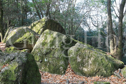 Roca Kibi Nakayama Yataiwa