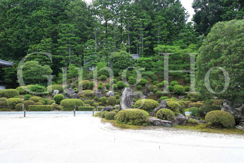 東福寺開山堂普門院前庭園