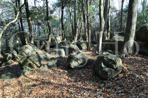 Roca Kibi Nakayama Yataiwa