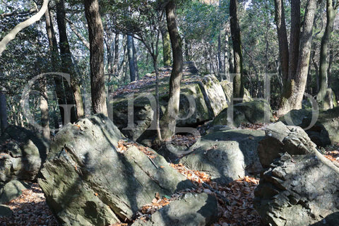 Roca Kibi Nakayama Yataiwa