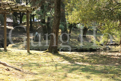 Kofukuji Oyuya Garden