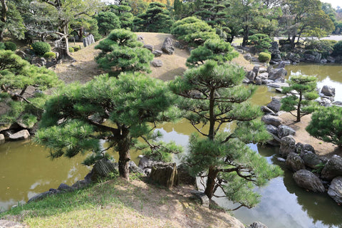 Antiguo Castillo de Tokushima Jardín Omote Goten