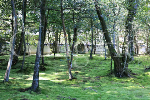 Akishino temple Garden