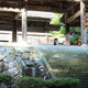 Eiheiji Temple Sanmon Courtyard