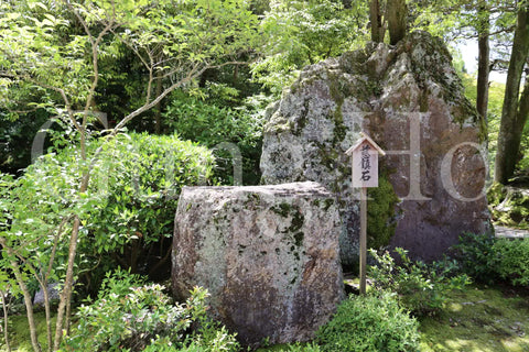 Chion-in Hojo Garden