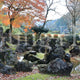Yudono ruins garden