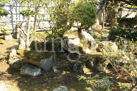 Shinyakushiji Temple