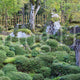 Saimyoji Temple Horai Garden