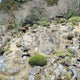 Joshoko-ji Temple