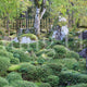 西明寺 蓬莱庭園
