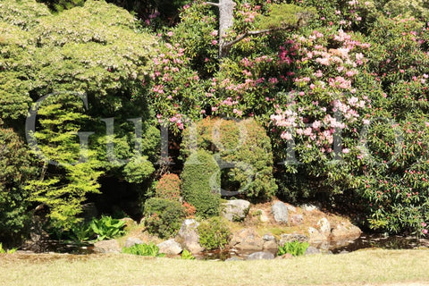 Kongobu-ji Four Seasons Courtyard