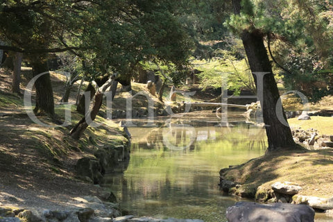 Kofukuji Oyuya Garden