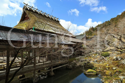 常照皇寺