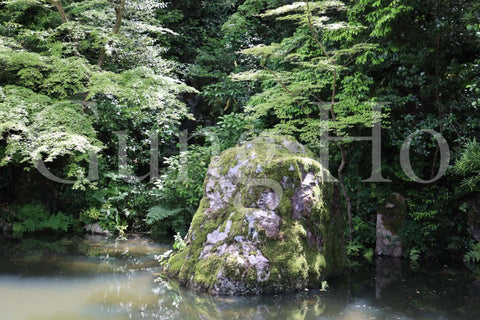 Chion-in Hojo Garden