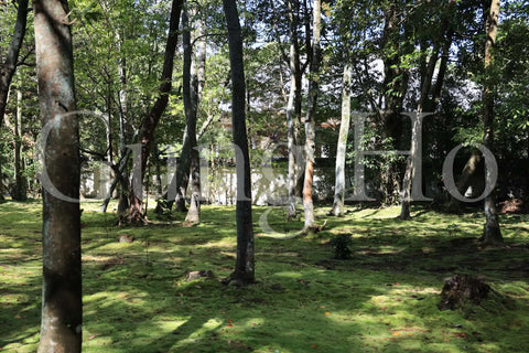 Akishino temple Garden