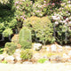 金剛峯寺四季の中庭