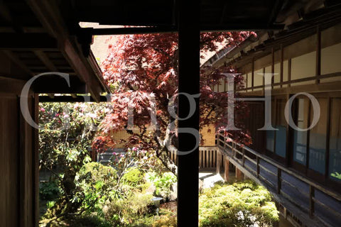 Kongobu-ji Temple Courtyard (Tsuboniwa)