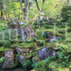 Saimyoji Temple Horai Garden