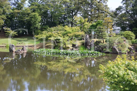 Hikone Castle Genkyuen 1