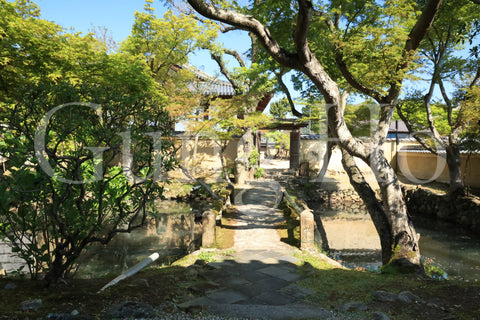 Shinyakushiji Temple